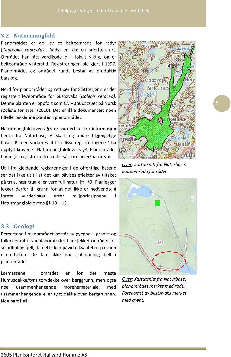 Nord for planområdet og rett sør for Slåtttetjønn er det registrert leveområde for bustsivaks (Isolepis setacea). Denne planten er oppført som EN sterkt truet på Norsk rødliste for arter (2010).