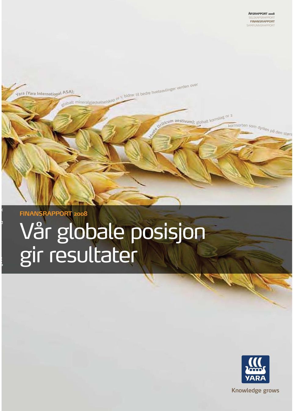 hveteavlinger verden over Hvete (triticum aestivum); globalt kornslag nr 2