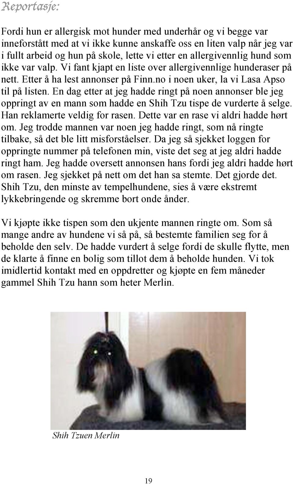 En dag etter at jeg hadde ringt på noen annonser ble jeg oppringt av en mann som hadde en Shih Tzu tispe de vurderte å selge. Han reklamerte veldig for rasen. Dette var en rase vi aldri hadde hørt om.