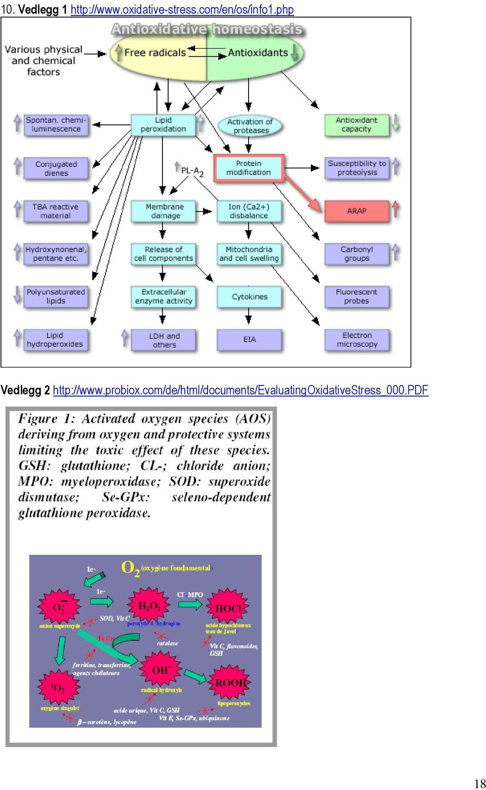 php Vedlegg 2 http://www.probiox.