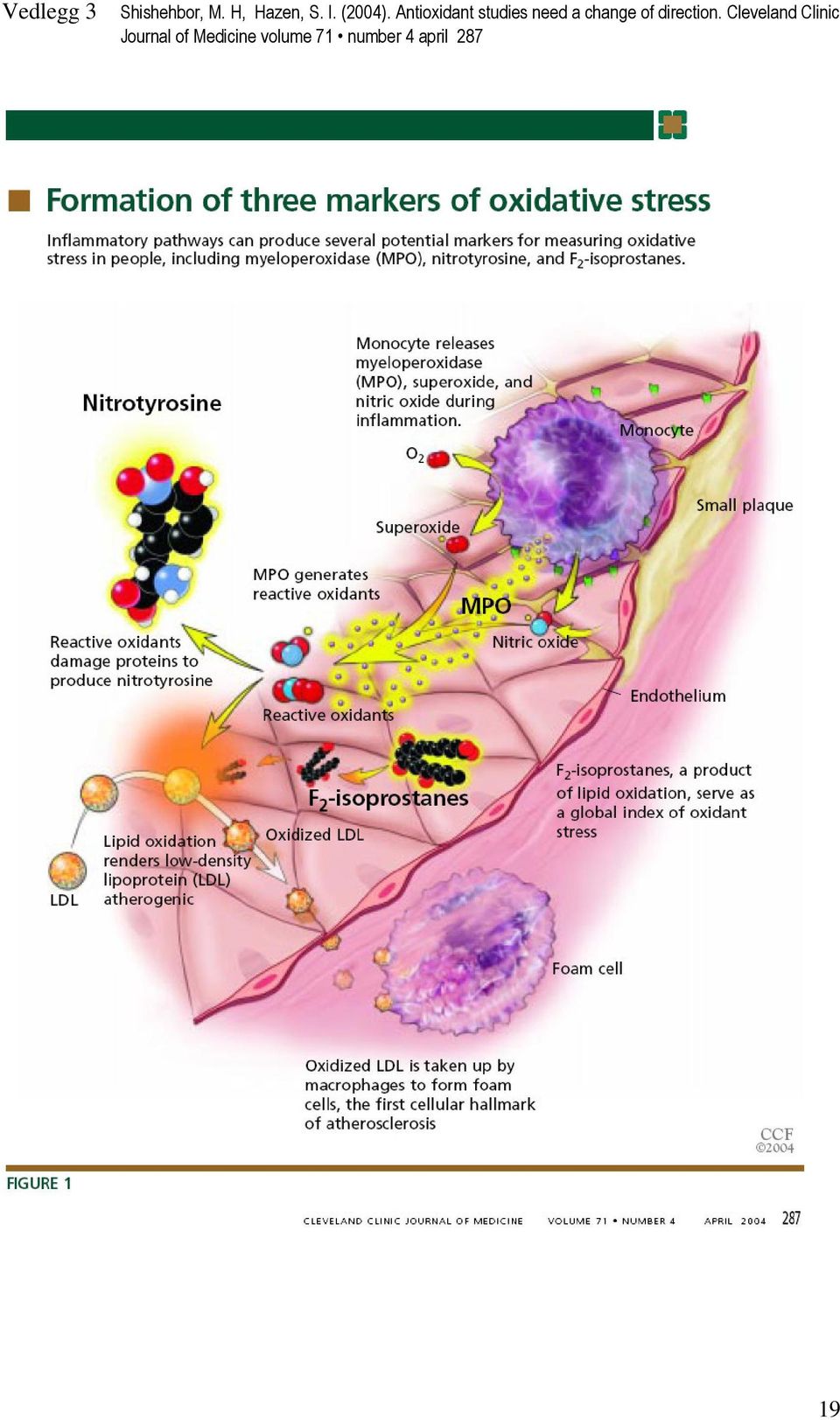 Antioxidant studies need a change of