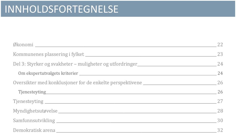 kriterier 24 Oversikter med konklusjoner for de enkelte perspektivene 26