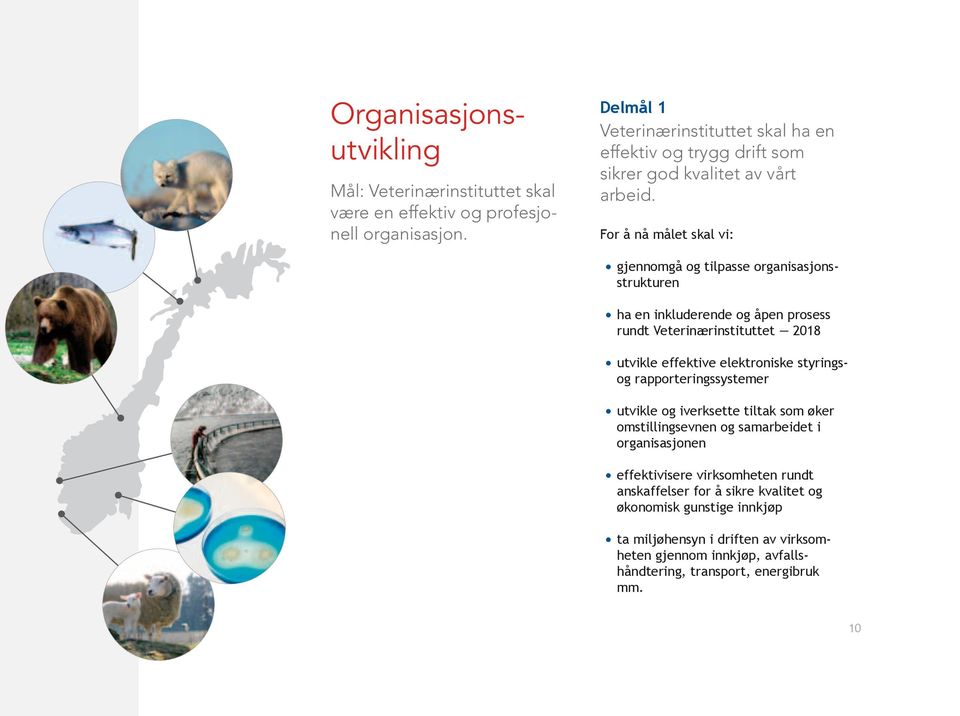 gjennomgå og tilpasse organisasjonsstrukturen ha en inkluderende og åpen prosess rundt Veterinærinstituttet 2018 utvikle effektive elektroniske styringsog