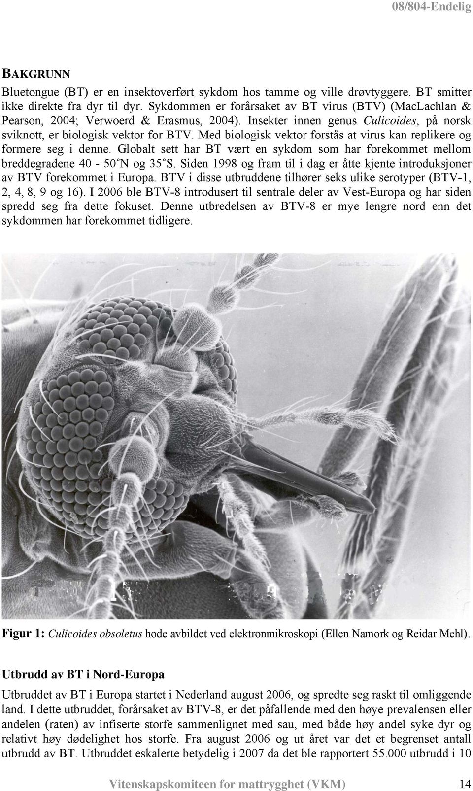 Med biologisk vektor forstås at virus kan replikere og formere seg i denne. Globalt sett har BT vært en sykdom som har forekommet mellom breddegradene 40-50 N og 35 S.