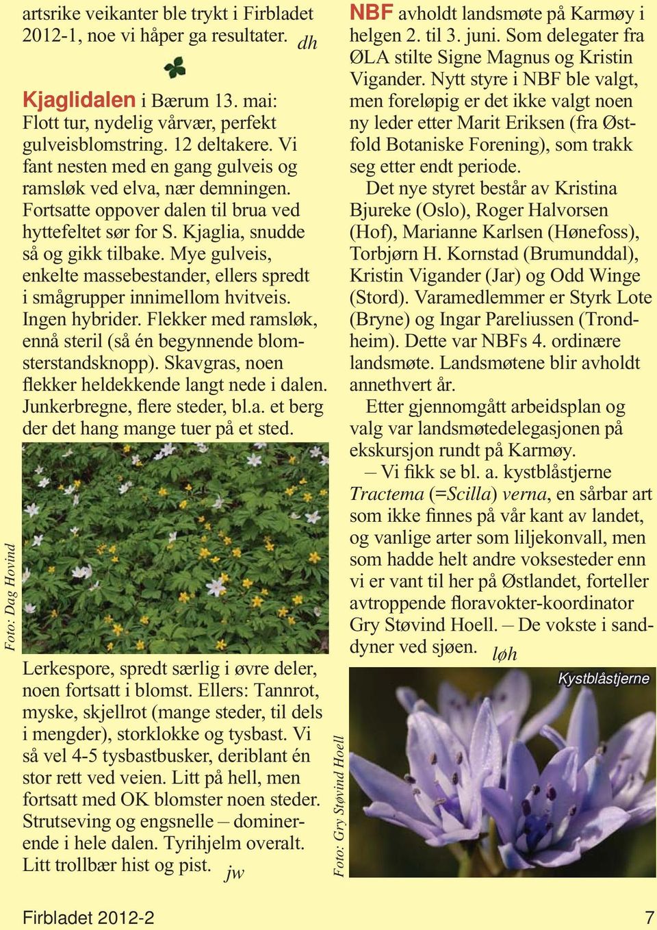 Mye gulveis, enkelte massebestander, ellers spredt i smågrupper innimellom hvitveis. Ingen hybrider. Flekker med ramsløk, ennå steril (så én begynnende blomsterstandsknopp).