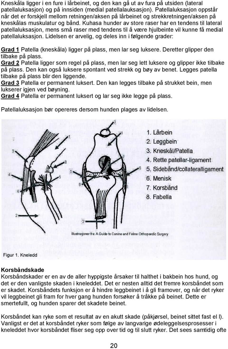 Kuhasa hunder av store raser har en tendens til lateral patellaluksasjon, mens små raser med tendens til å være hjulbeinte vil kunne få medial patellaluksasjon.