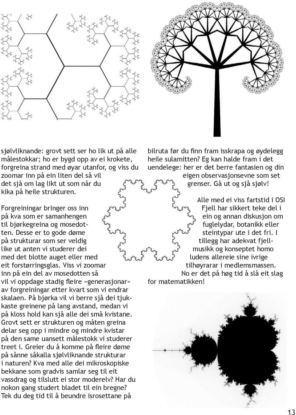 Desse er to gode døme på strukturar som ser veldig like ut anten vi studerer dei med det blotte auget eller med eit forstørringsglas.