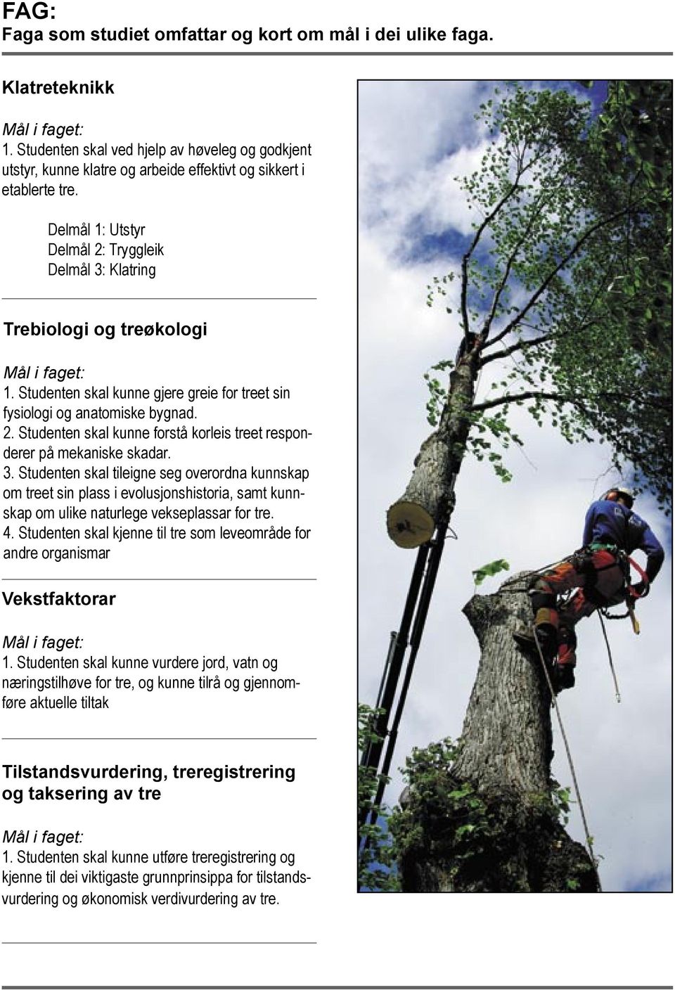 3. Studenten skal tileigne seg overordna kunnskap om treet sin plass i evolusjonshistoria, samt kun n- skap om ulike naturlege vekseplassar for tre. 4.