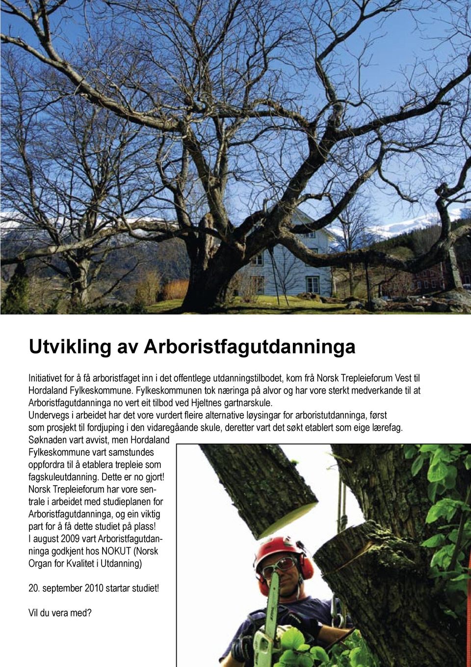 Undervegs i arbeidet har det vore vurdert fleire alternative løysingar for arboristutdanninga, først som prosjekt til fordjuping i den vidaregåande skule, deretter vart det søkt etablert som eige