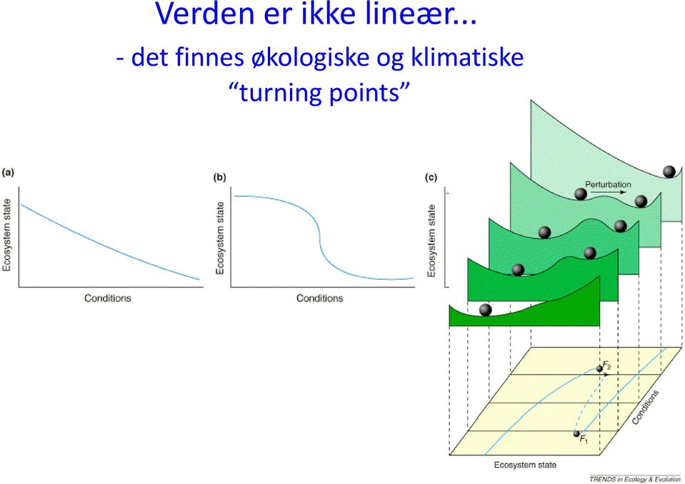 .. det finnes