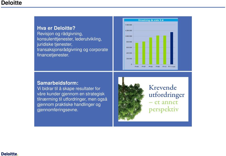 transaksjonsrådgivning og corporate financetjenester.