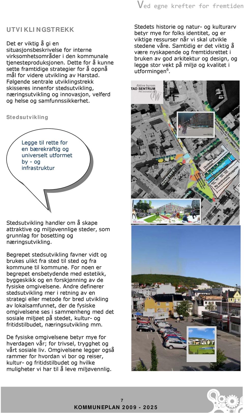 Følgende sentrale utviklingstrekk skisseres innenfor stedsutvikling, næringsutvikling og innovasjon, velferd og helse og samfunnssikkerhet.