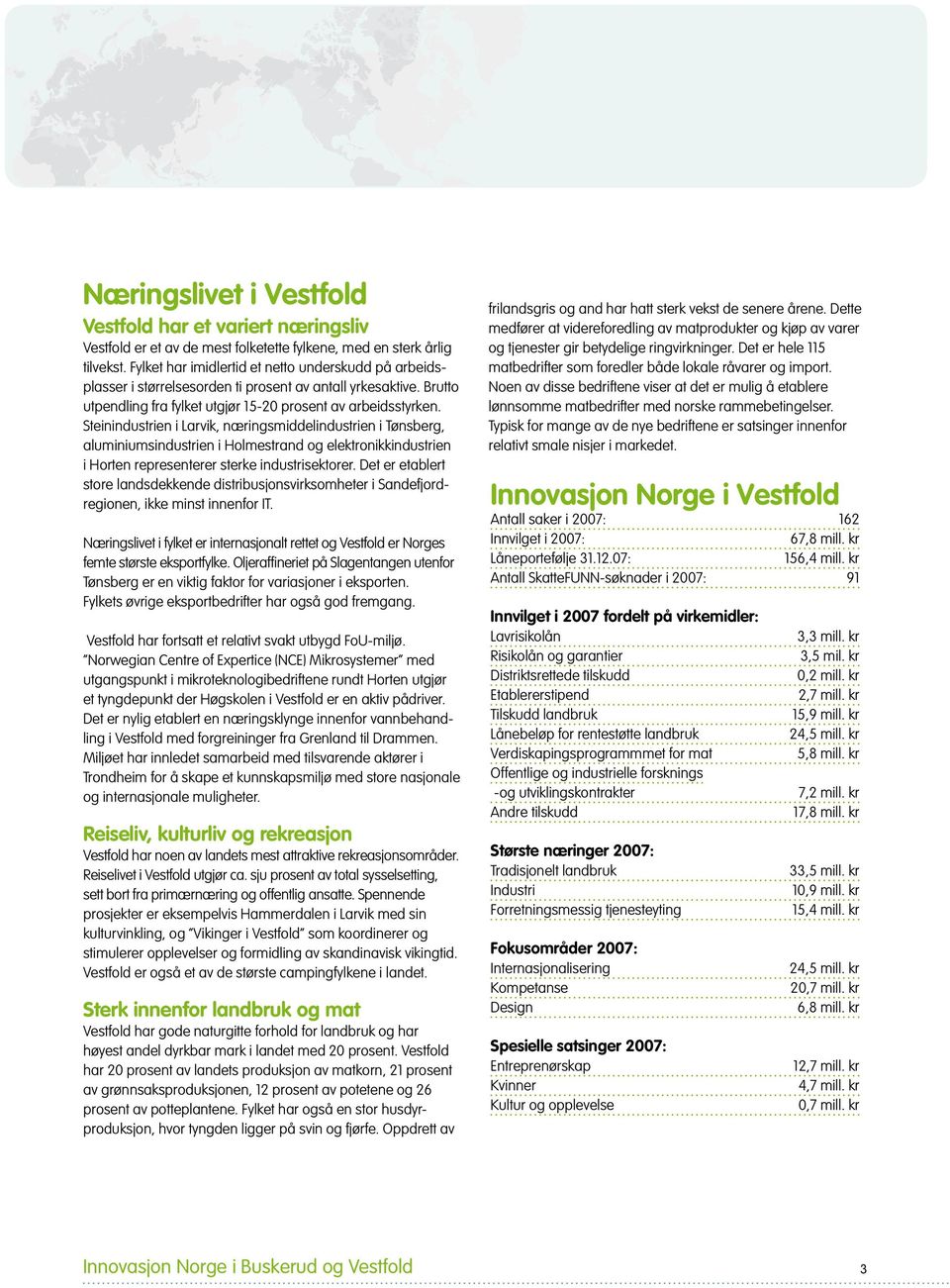 Steinindustrien i Larvik, næringsmiddelindustrien i Tønsberg, aluminiumsindustrien i Holmestrand og elektronikkindustrien i Horten representerer sterke industrisektorer.