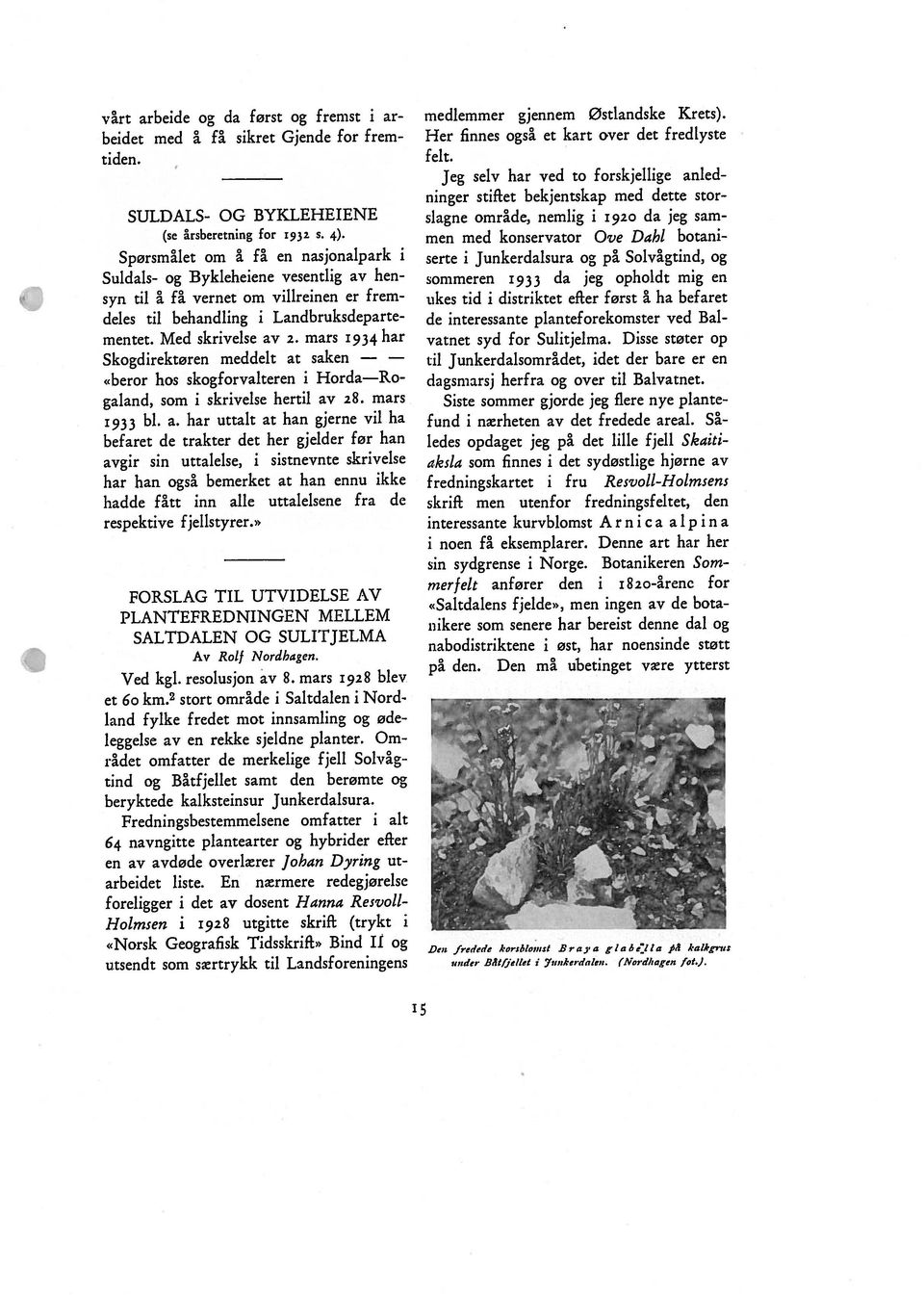 Disse støter op deles til behandling i Landbruksdeparte de interessante planteforekornster ved Bal ukes tid i distriktet efter først å ha befaret slagne område, nemlig i 1920 da jeg sam serte i