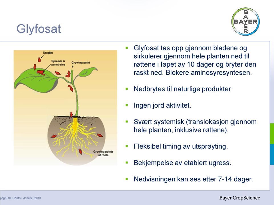 Nedbrytes til naturlige produkter Ingen jord aktivitet.