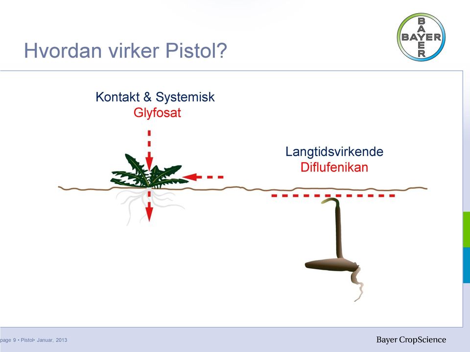 Glyfosat Langtidsvirkende