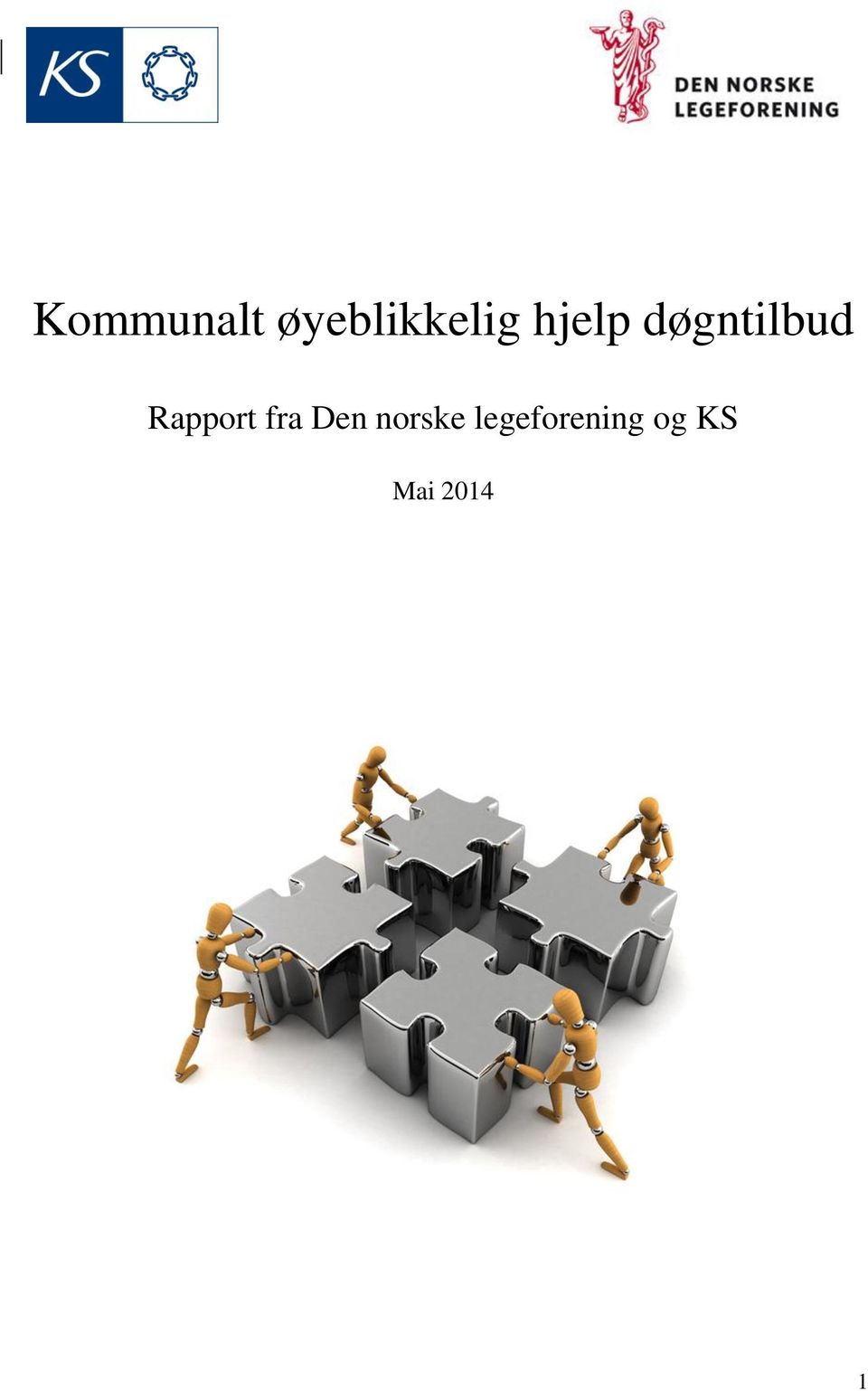 Rapport fra Den norske