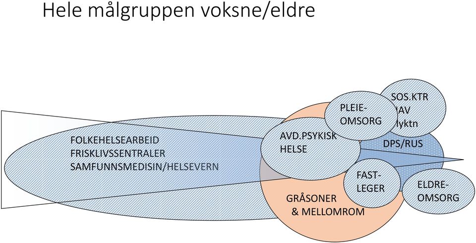 PSYKISK HELSE PLEIE- OMSORG FAST- LEGER GRÅSONER