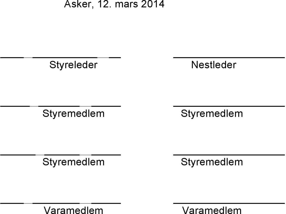 Nestleder Styremedlem