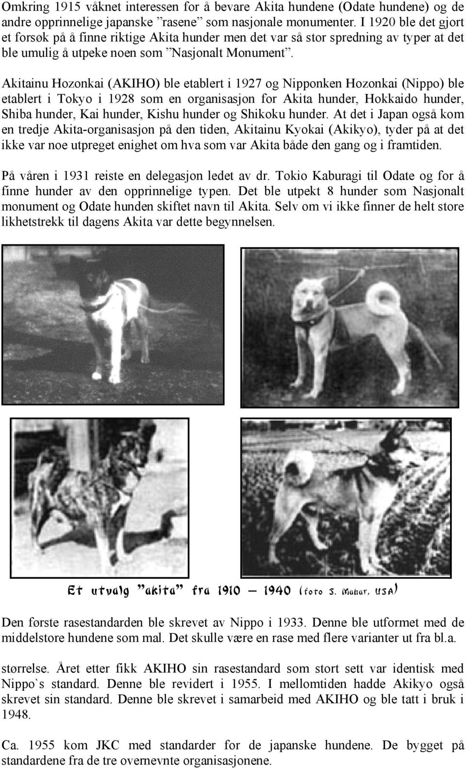 Akitainu Hozonkai (AKIHO) ble etablert i 1927 og Nipponken Hozonkai (Nippo) ble etablert i Tokyo i 1928 som en organisasjon for Akita hunder, Hokkaido hunder, Shiba hunder, Kai hunder, Kishu hunder