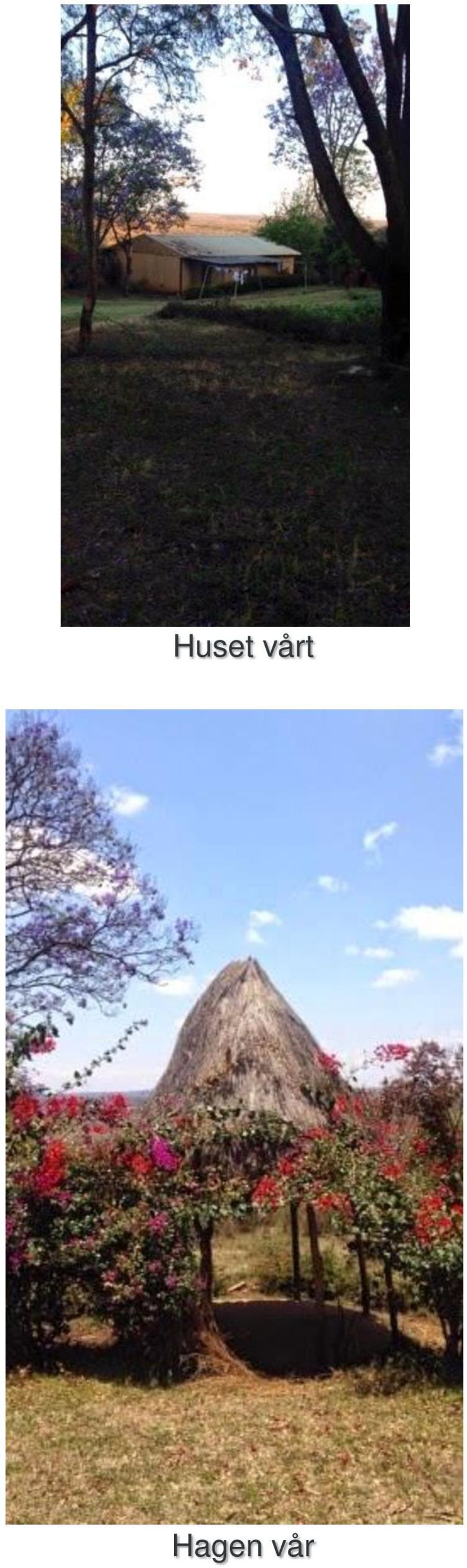 Hagen vår