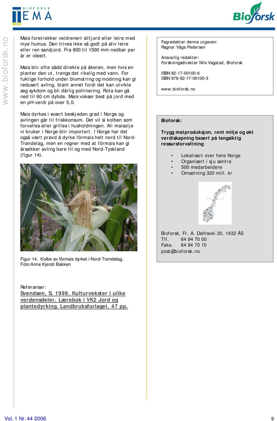 For fuktige forhold under blomstring og modning kan gi redusert avling, blant annet fordi det kan utvikle seg sykdom og bli dårlig pollinering. Rota kan gå ned til 60 cm dybde.