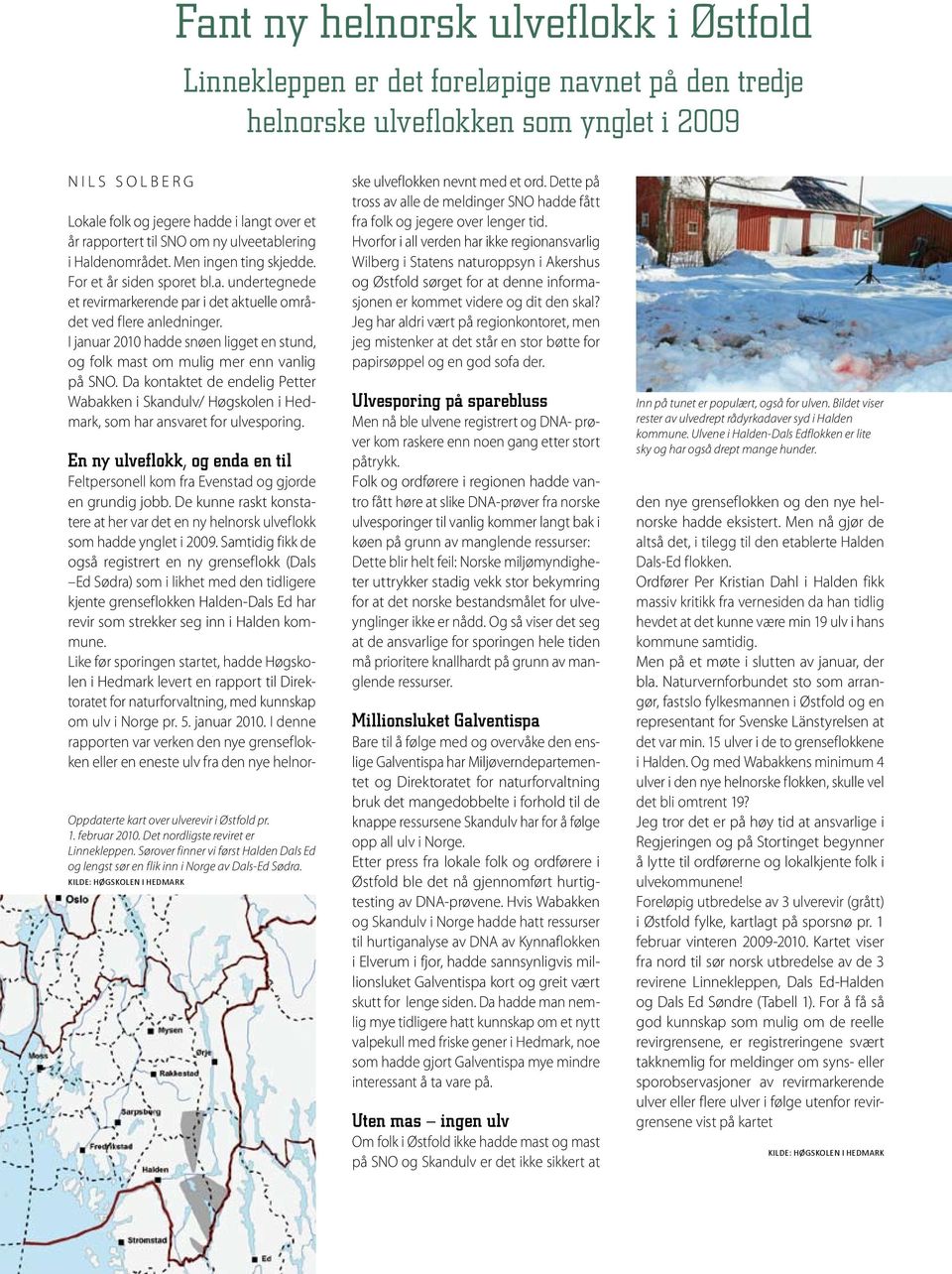 I januar 2010 hadde snøen ligget en stund, og folk mast om mulig mer enn vanlig på SNO. Da kontaktet de endelig Petter Wabakken i Skandulv/ Høgskolen i Hedmark, som har ansvaret for ulvesporing.