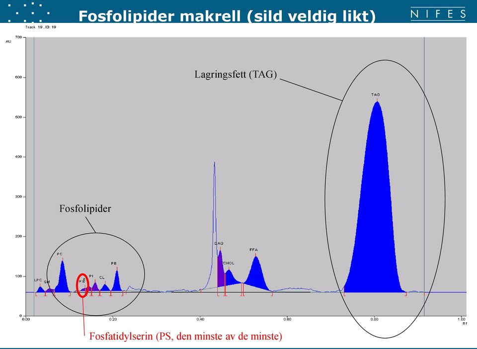 (TAG) Fosfolipider