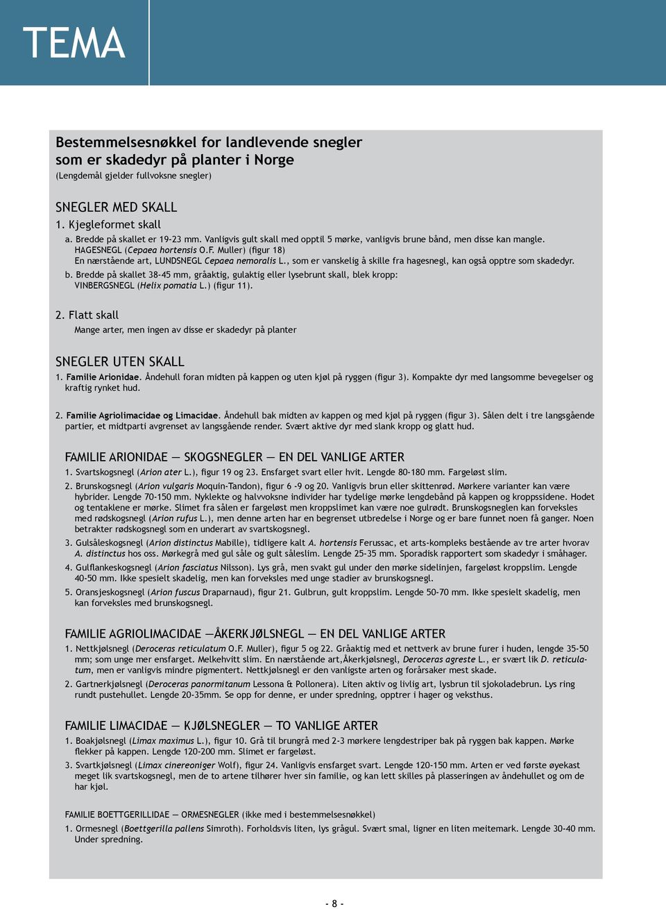 , som er vanskelig å skille fra hagesnegl, kan også opptre som skadedyr. b. Bredde på skallet 38-45 mm, gråaktig, gulaktig eller lysebrunt skall, blek kropp: VINBERGSNEGL (Helix pomatia L.