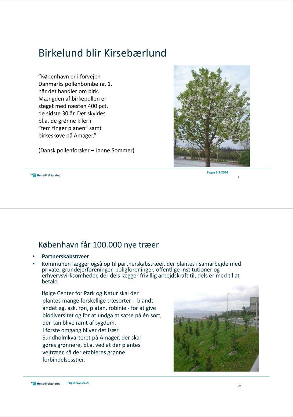 000 nye træer Partnerskabstræer Kommunen lægger også op til partnerskabstræer, der plantes i samarbejde med private, grundejerforeninger, boligforeninger, offentlige institutioner og