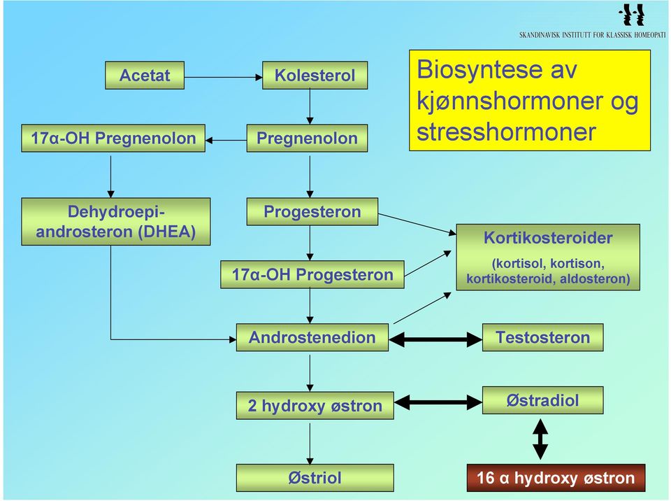 7αOH Progesteron Kortikosteroider (kortisol, kortison, kortikosteroid,