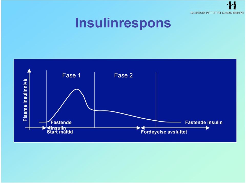 insulin Start måltid Fase