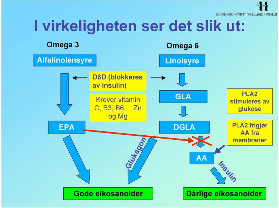 Zn og Mg Glukagon GLA DGLA AA Insulin PLA stimuleres av