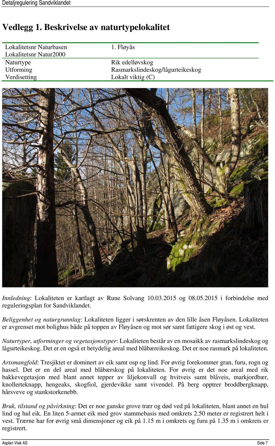 2015 i forbindelse med reguleringsplan for Sandviklandet. Beliggenhet og naturgrunnlag: Lokaliteten ligger i sørskrenten av den lille åsen Fløyåsen.