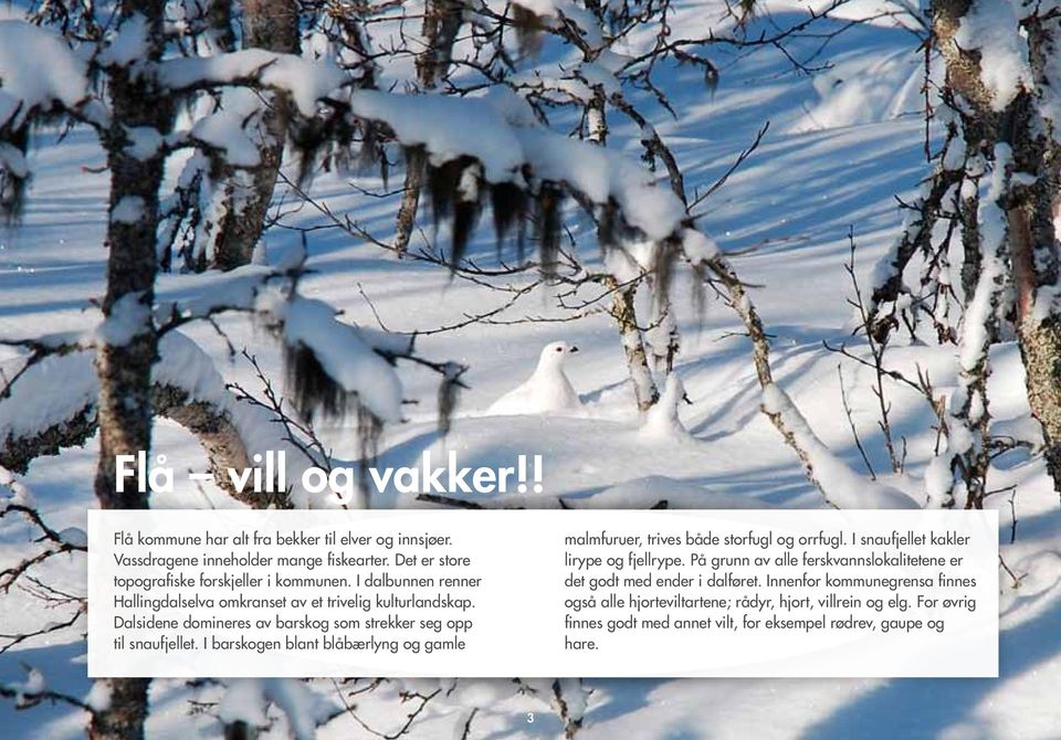 I barskogen blant blåbærlyng og gamle malmfuruer, trives både storfugl og orrfugl. I snaufjellet kakler lirype og fjellrype.