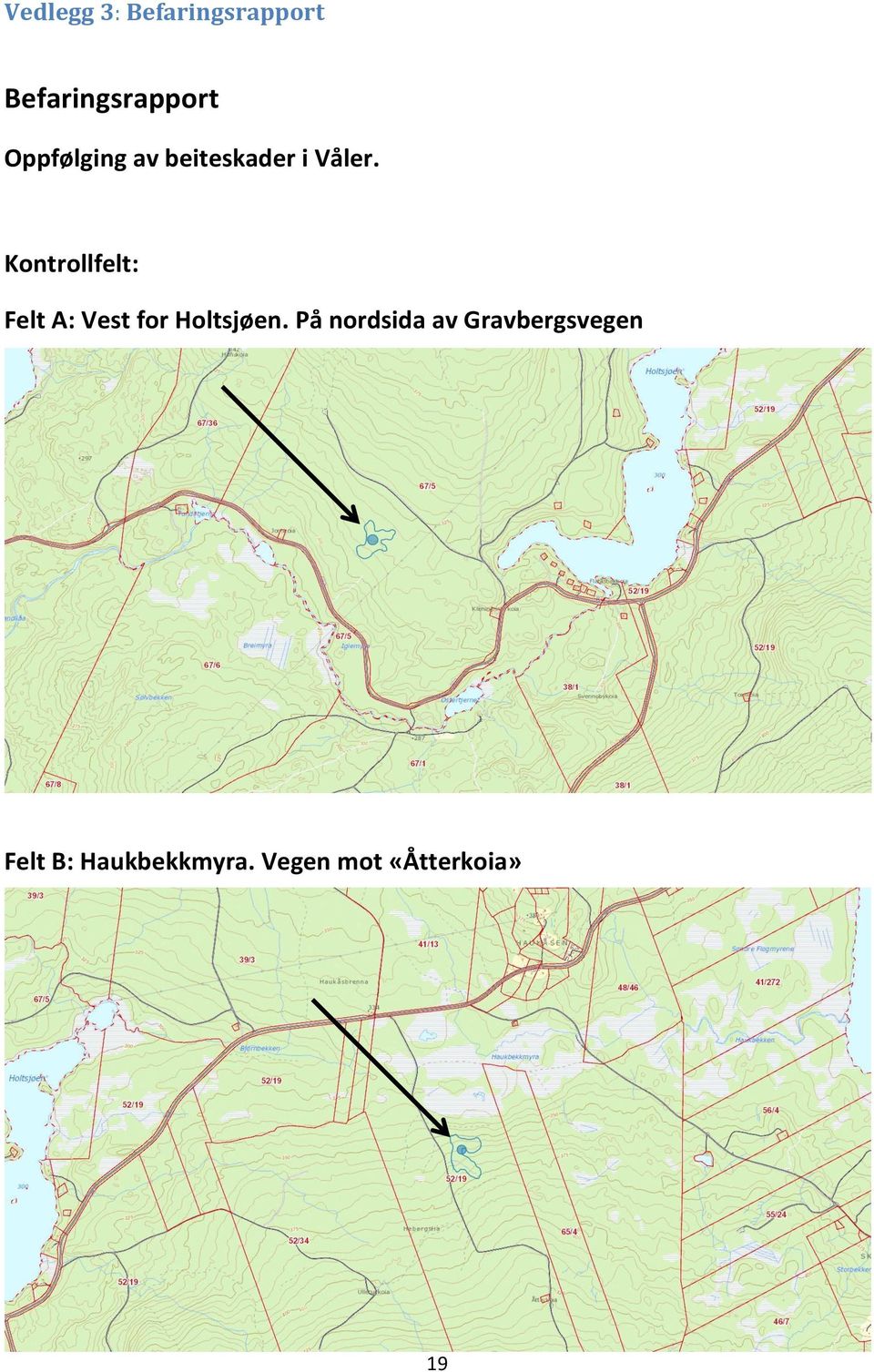 Kontrollfelt: Felt A: Vest for Holtsjøen.