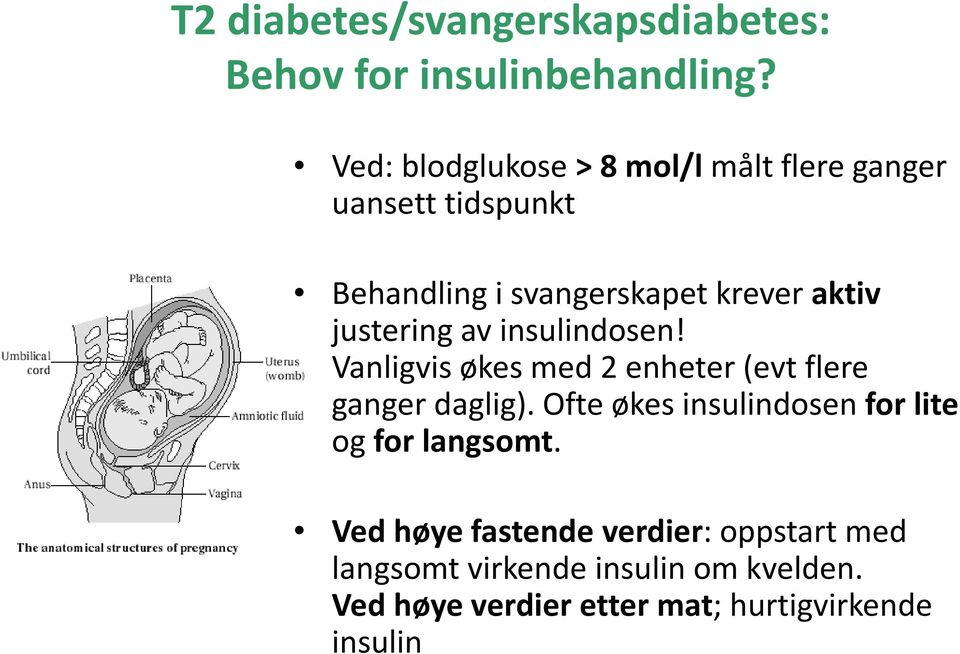 justering av insulindosen! Vanligvis økes med 2 enheter (evt flere ganger daglig).