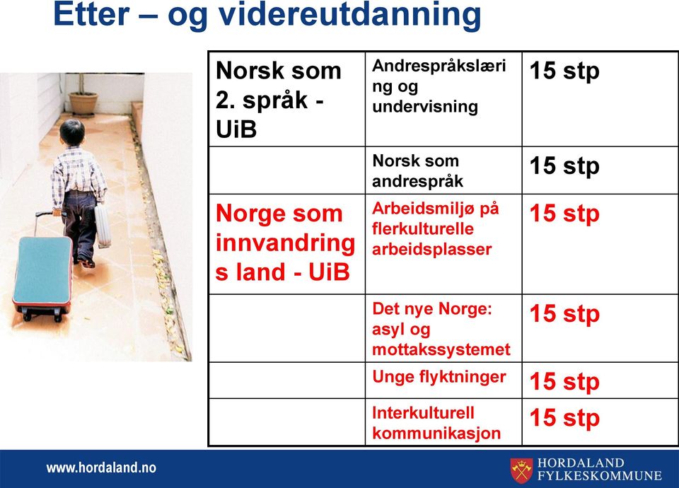 undervisning Norsk som andrespråk Arbeidsmiljø på flerkulturelle