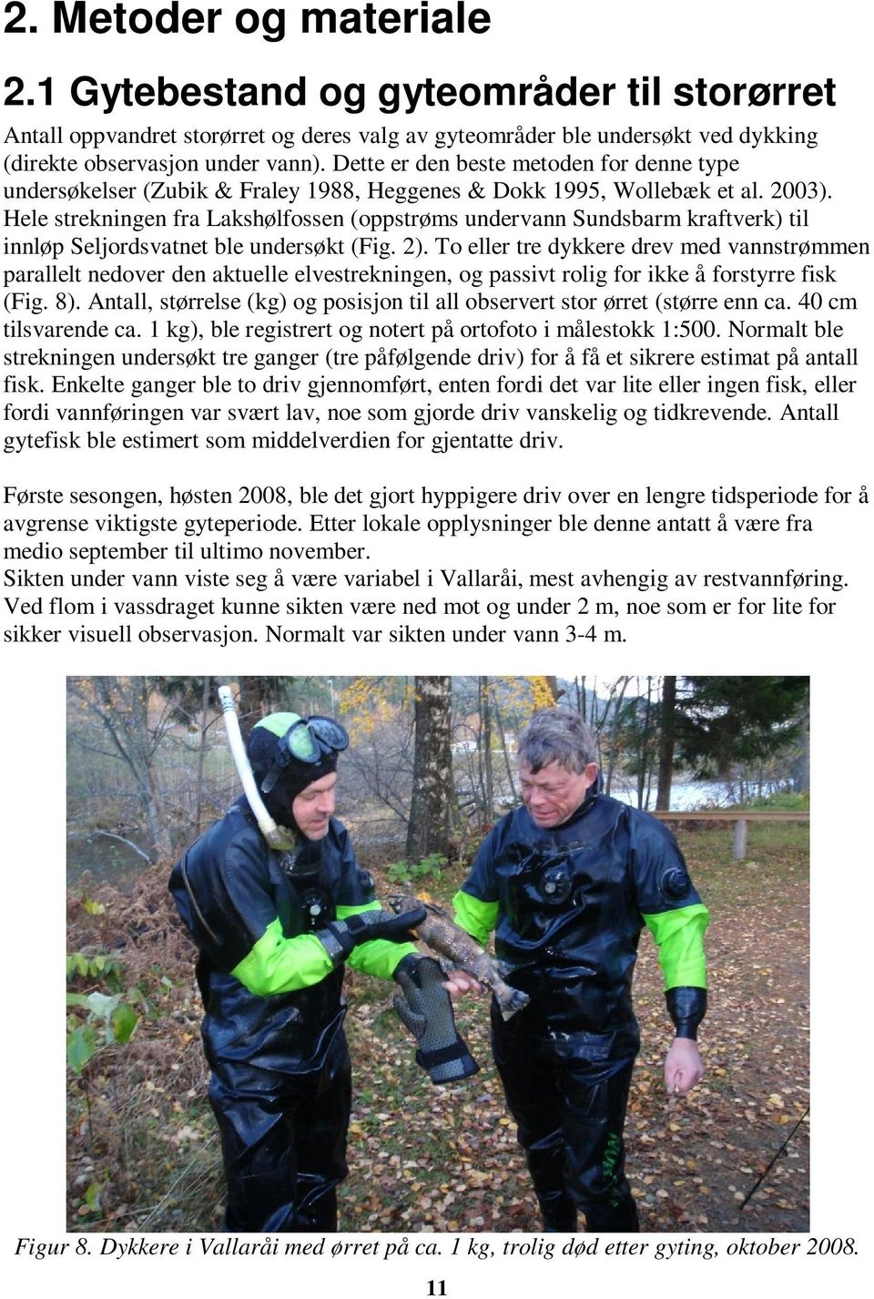 Hele strekningen fra Lakshølfossen (oppstrøms undervann Sundsbarm kraftverk) til innløp Seljordsvatnet ble undersøkt (Fig. 2).