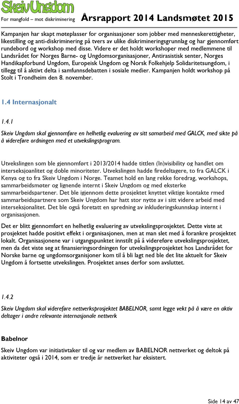 Videre er det holdt workshoper med medlemmene til Landsrådet for Norges Barne- og Ungdomsorganisasjoner, Antirasistisk senter, Norges Handikapforbund Ungdom, Europeisk Ungdom og Norsk Folkehjelp