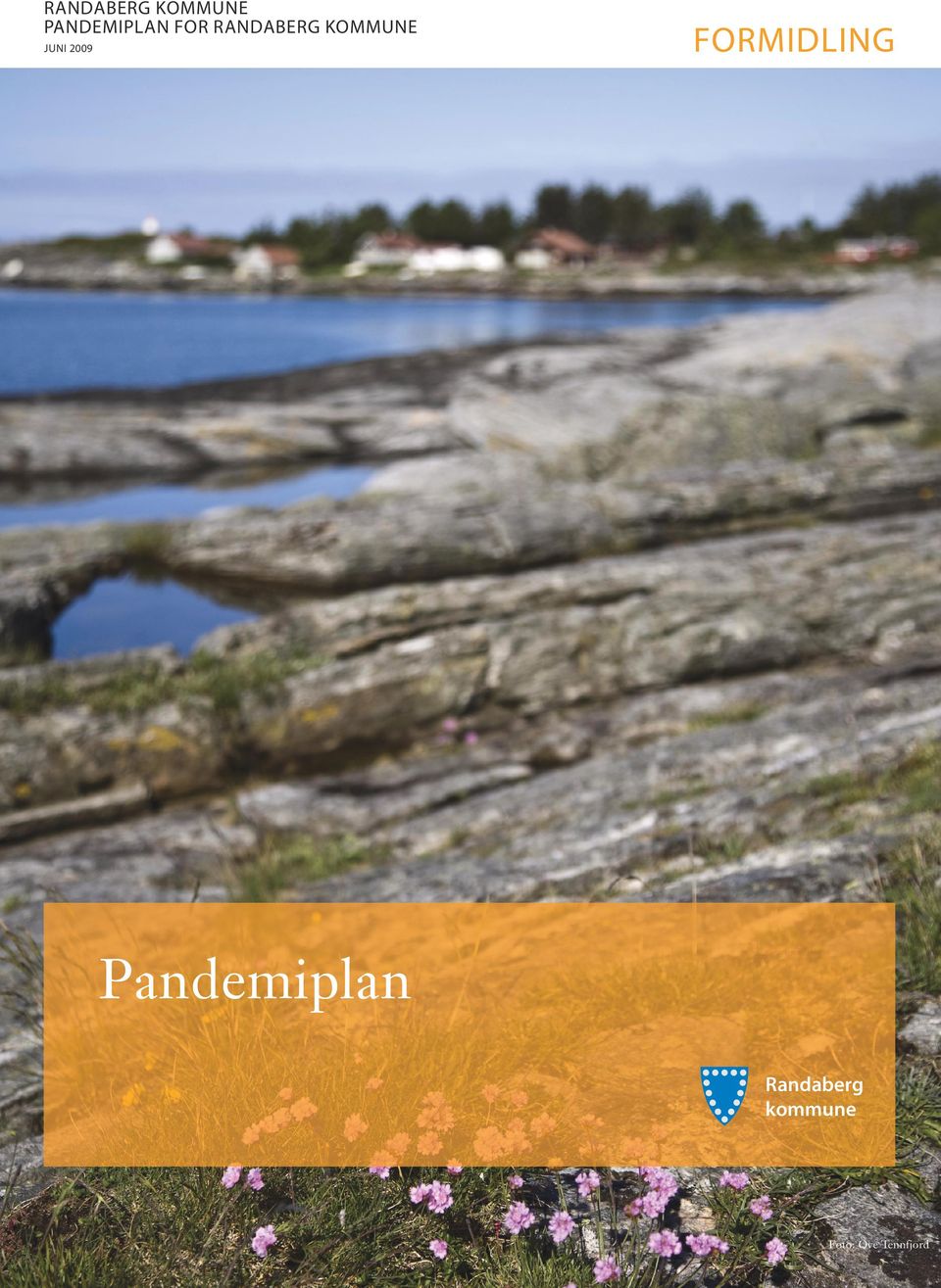 2009 FORMIDLING Pandemiplan