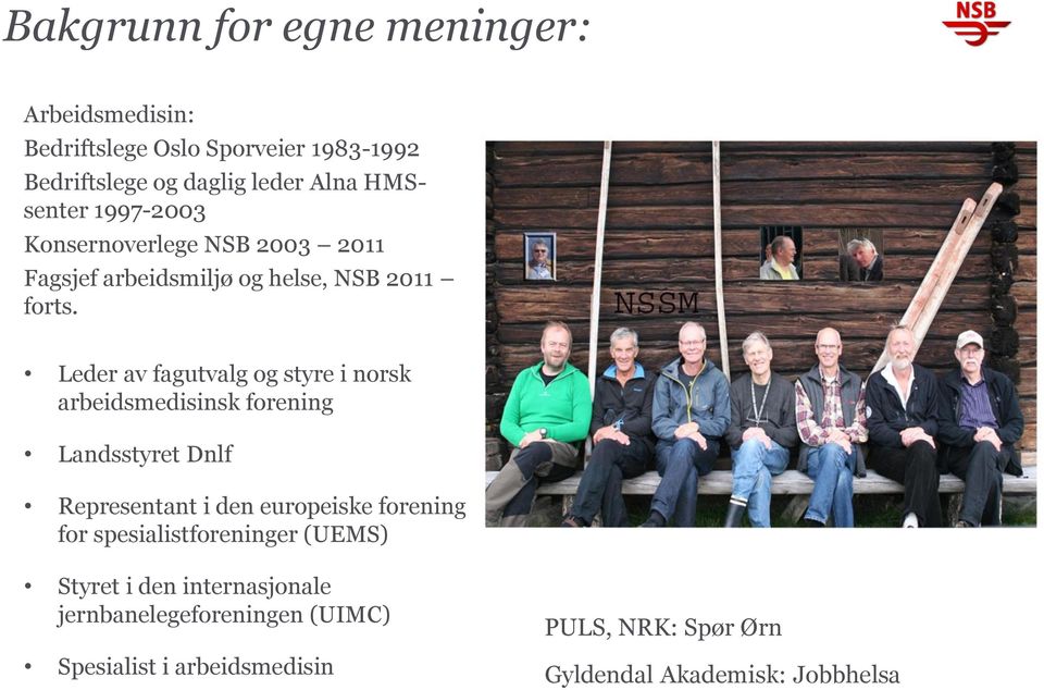 Leder av fagutvalg og styre i norsk arbeidsmedisinsk forening Landsstyret Dnlf Representant i den europeiske forening for