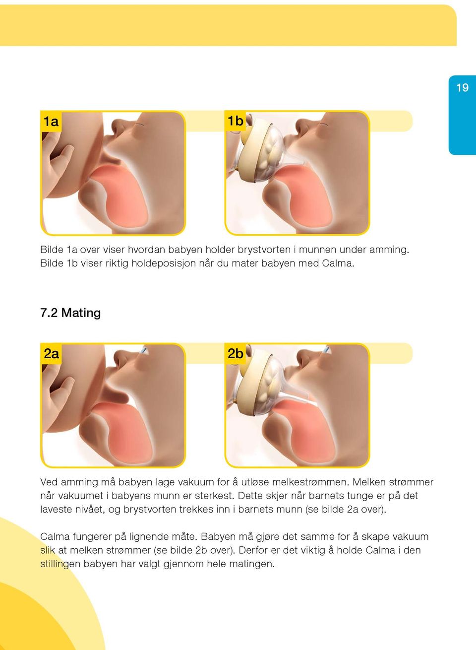 Dette skjer når barnets tunge er på det laveste nivået, og brystvorten trekkes inn i barnets munn (se bilde 2a over). Calma fungerer på lignende måte.