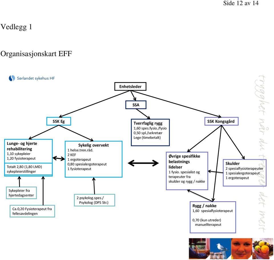 2 KEF 1 ergoterapeut 0,80 spesialergoterapeut 1 fysioterapeut 2 psykolog.spes./ Psykolog (DPS Str.) Tverrfaglig rygg 1,60 spes.fysio./fysio 0,50 spl.