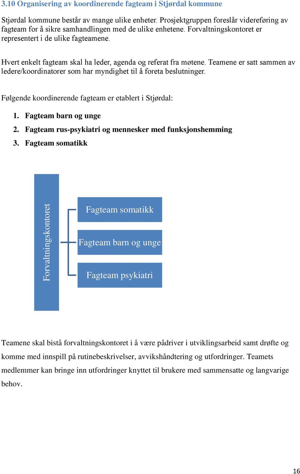 Hvert enkelt fagteam skal ha leder, agenda og referat fra møtene. Teamene er satt sammen av ledere/koordinatorer som har myndighet til å foreta beslutninger.