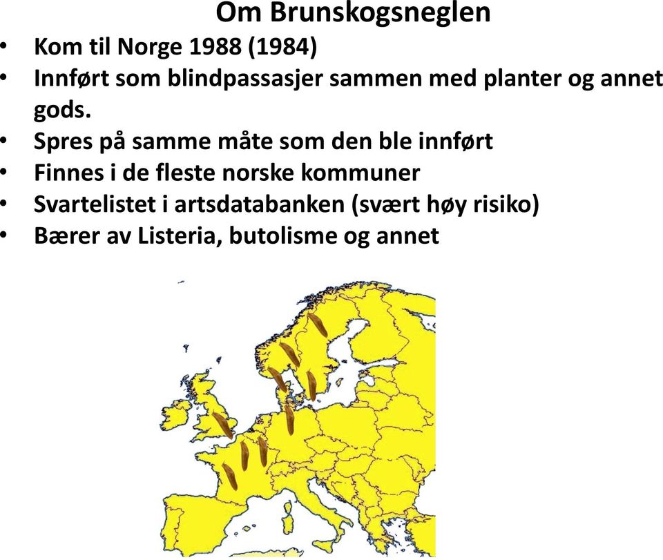 Spres på samme måte som den ble innført Finnes i de fleste norske