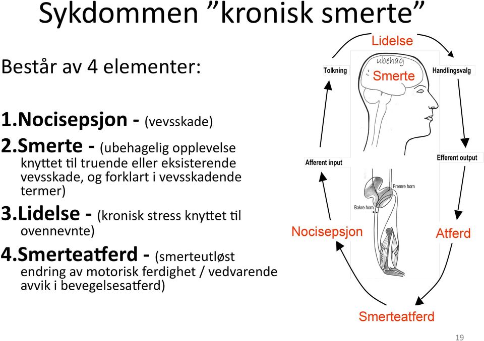 vevsskadende termer) 3.Lidelse - (kronisk stress kny0et 8l ovennevnte) 4.