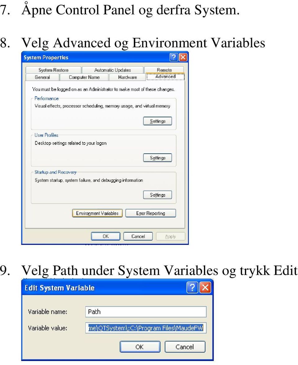 Velg Advanced og Environment