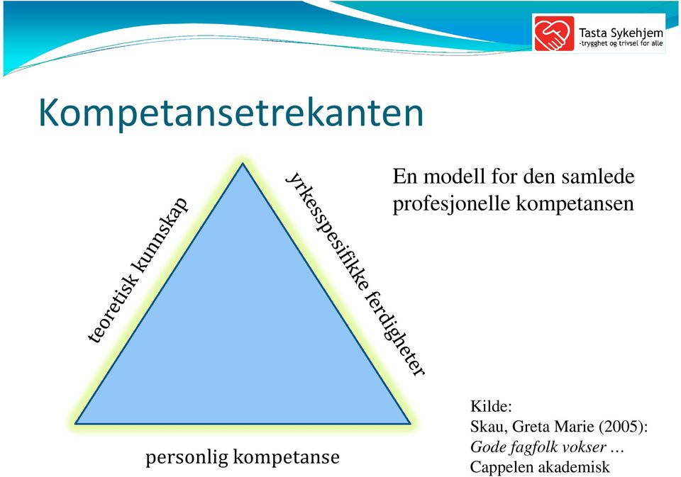 personlig kompetanse Kilde: Skau, Greta