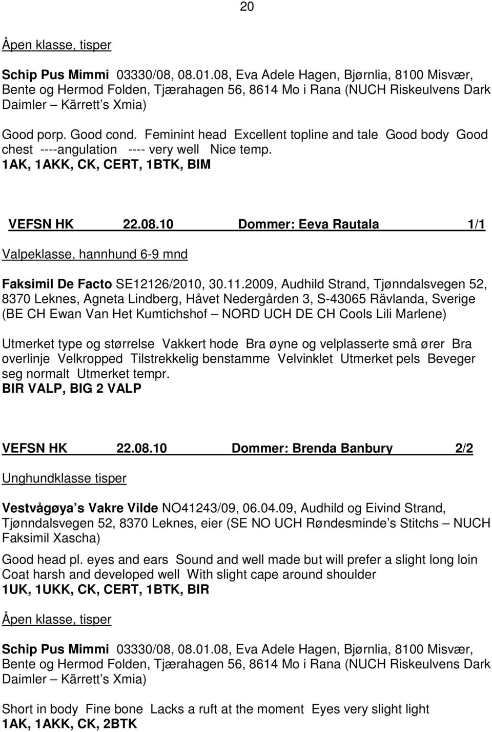 Feminint head Excellent topline and tale Good body Good chest ----angulation ---- very well Nice temp. 1AK, 1AKK, CK, CERT, 1BTK, BIM VEFSN HK 22.08.